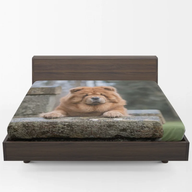 Chow Chow Quartet: Fourfold Beauty Fitted Sheet 1