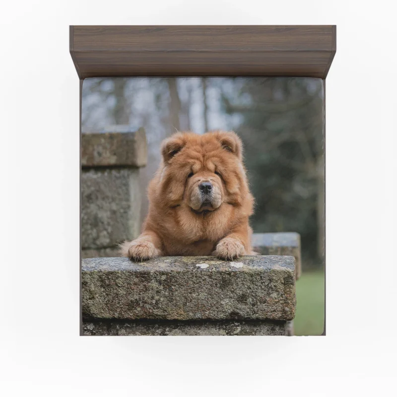 Chow Chow Quartet: Fourfold Beauty Fitted Sheet