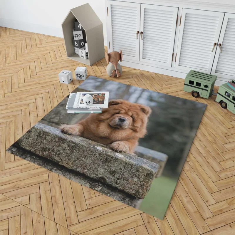 Chow Chow Quartet: Fourfold Beauty Floor Rug 1