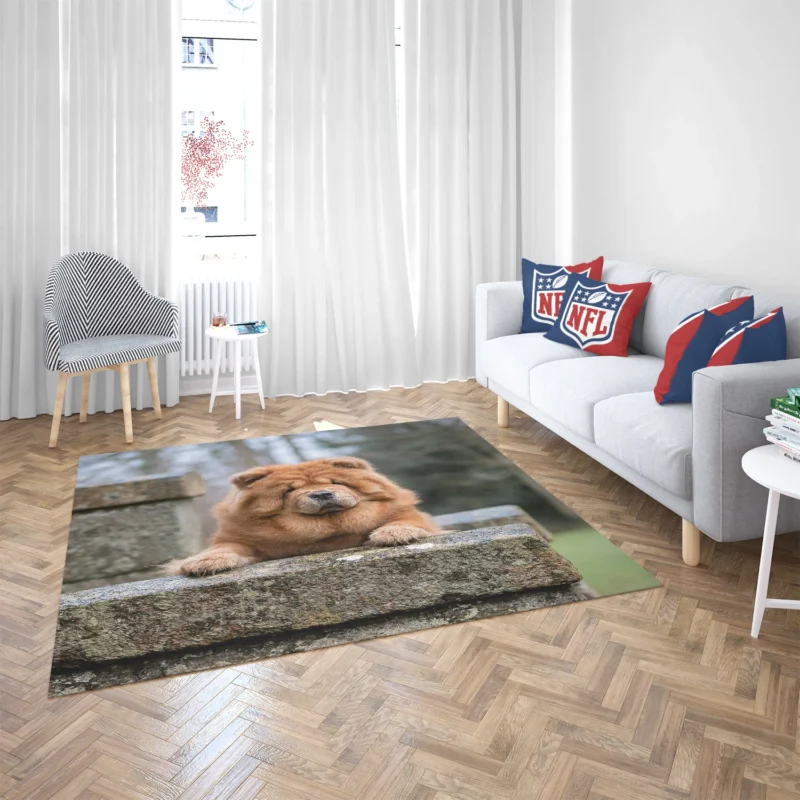 Chow Chow Quartet: Fourfold Beauty Floor Rug 2