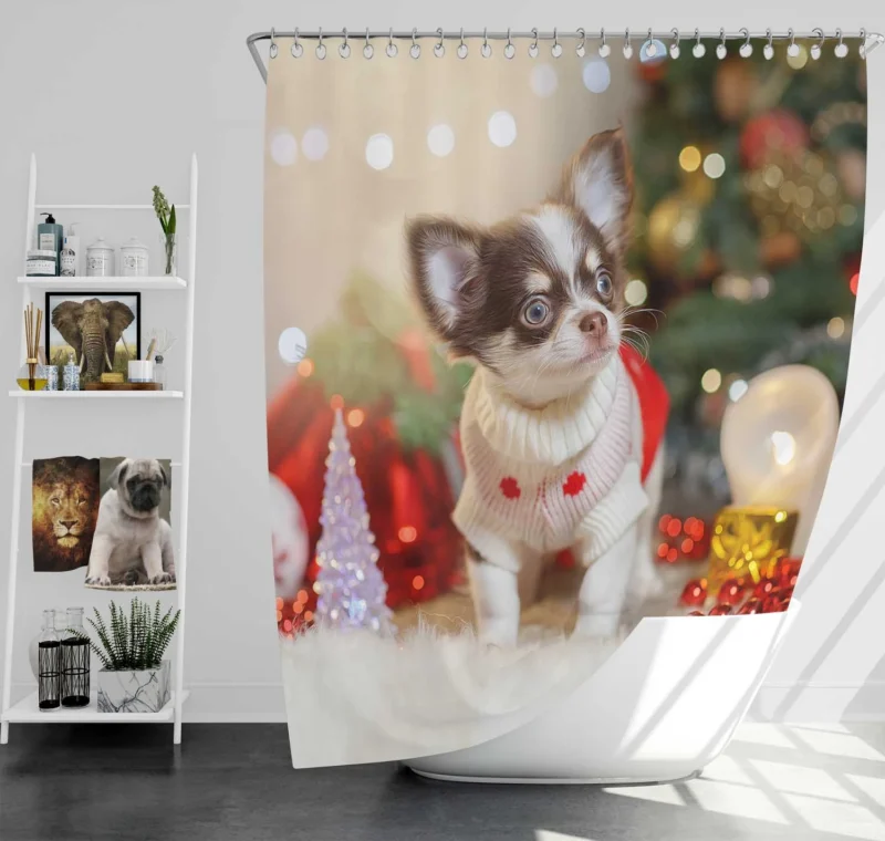 Christmas Cheer with Decorations: Chihuahua Quartet Shower Curtain