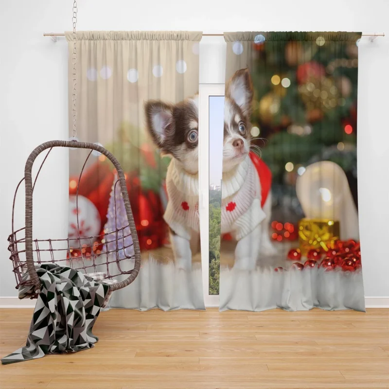 Christmas Cheer with Decorations: Chihuahua Quartet Window Curtain