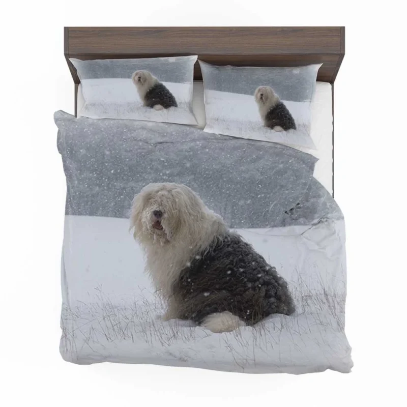 Christmas Delight: Old English Sheepdog Quartet Bedding Set 1