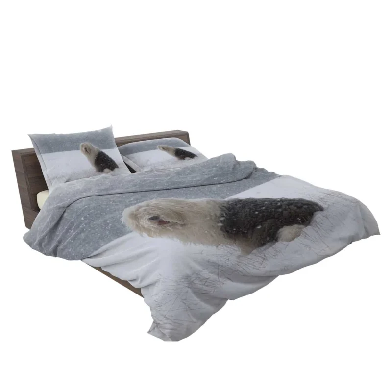 Christmas Delight: Old English Sheepdog Quartet Bedding Set 2