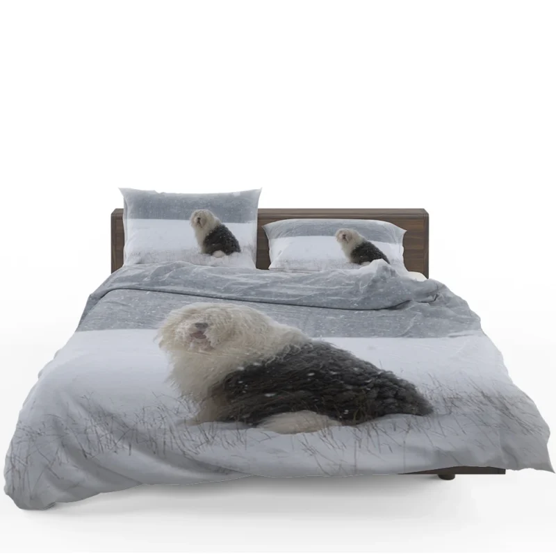 Christmas Delight: Old English Sheepdog Quartet Bedding Set