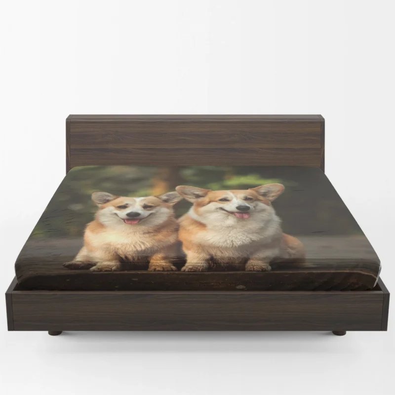 Chubby Charm: Corgi Quartet Fitted Sheet 1