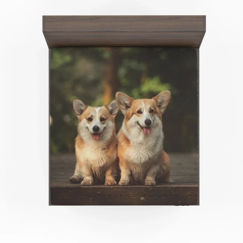 Chubby Charm: Corgi Quartet Fitted Sheet