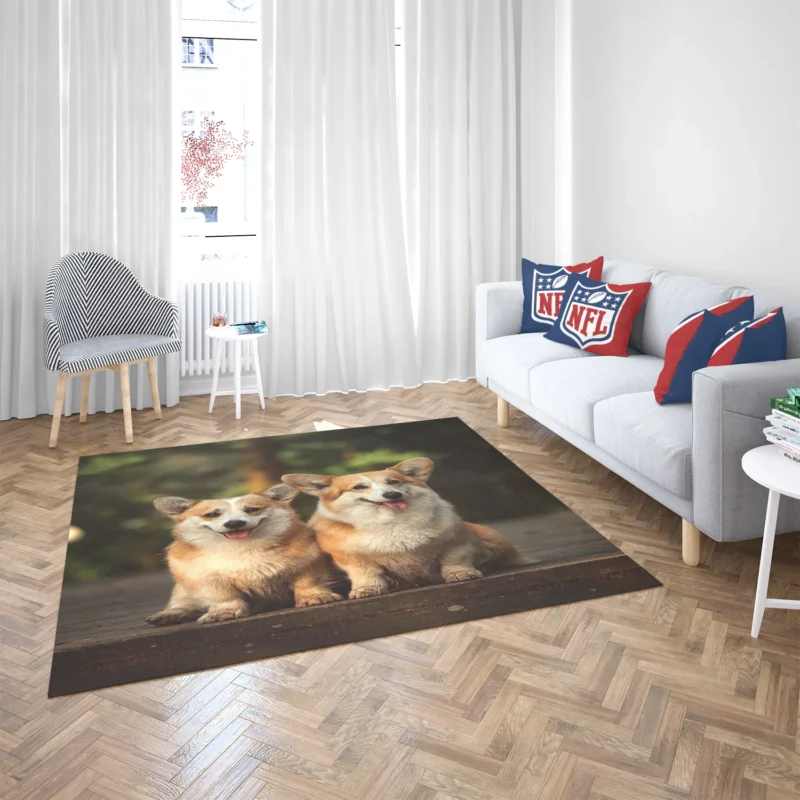 Chubby Charm: Corgi Quartet Floor Rug 2