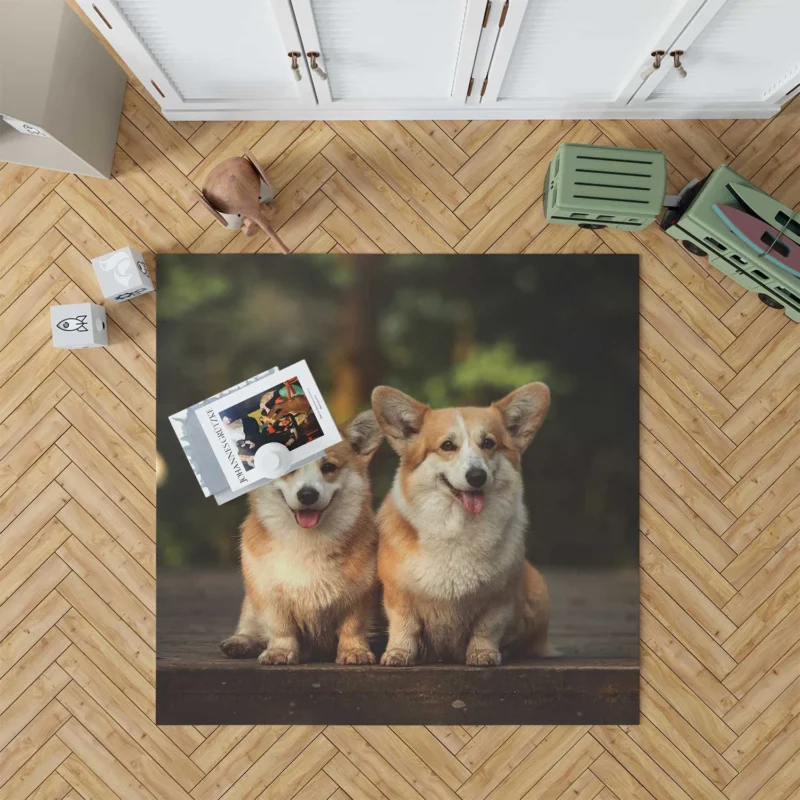 Chubby Charm: Corgi Quartet Floor Rug