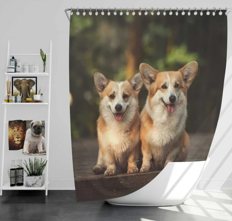 Chubby Charm: Corgi Quartet Shower Curtain