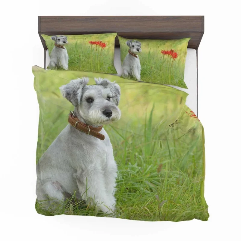 Clipped Schnauzer Dog: Schnauzer Quartet Bedding Set 1