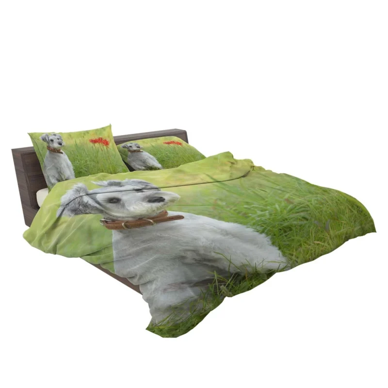 Clipped Schnauzer Dog: Schnauzer Quartet Bedding Set 2