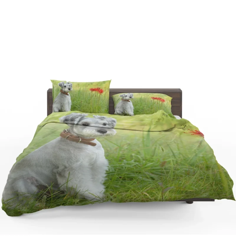 Clipped Schnauzer Dog: Schnauzer Quartet Bedding Set