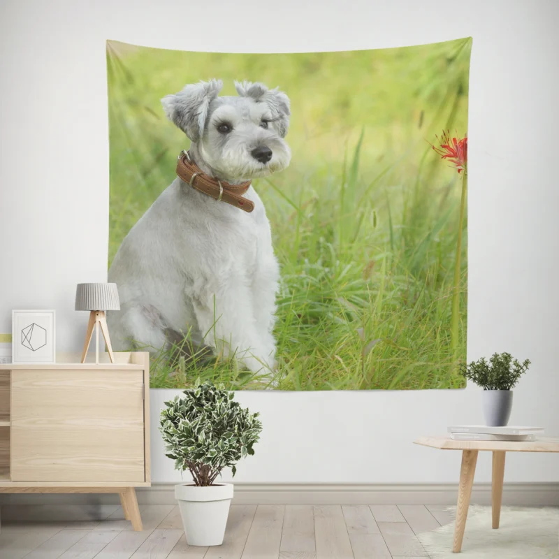 Clipped Schnauzer Dog  Schnauzer Quartet Wall Tapestry