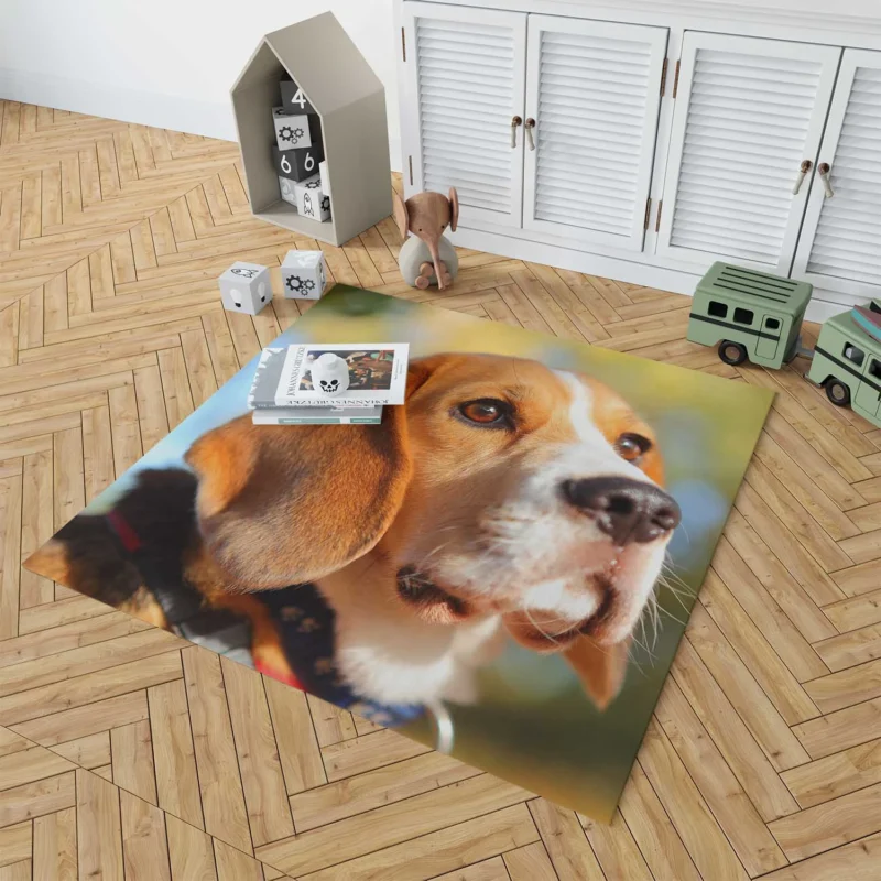 Close-Up Muzzle Beauty with Depth Of Field: Beagle Floor Rug 1