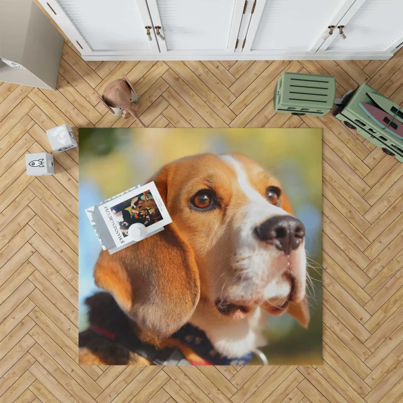 Close-Up Muzzle Beauty with Depth Of Field: Beagle Floor Rug