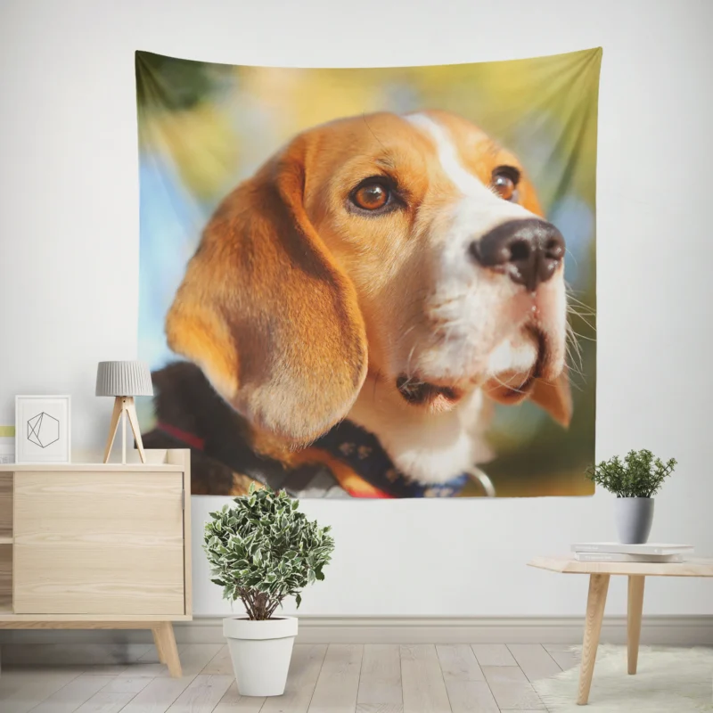 Close-Up Muzzle Beauty with Depth Of Field  Beagle Wall Tapestry