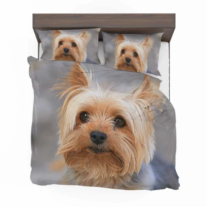 Close-Up: Terrier Quartet Yorkshire Terrier Bedding Set 1