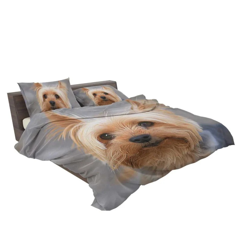 Close-Up: Terrier Quartet Yorkshire Terrier Bedding Set 2