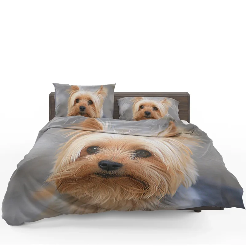 Close-Up: Terrier Quartet Yorkshire Terrier Bedding Set