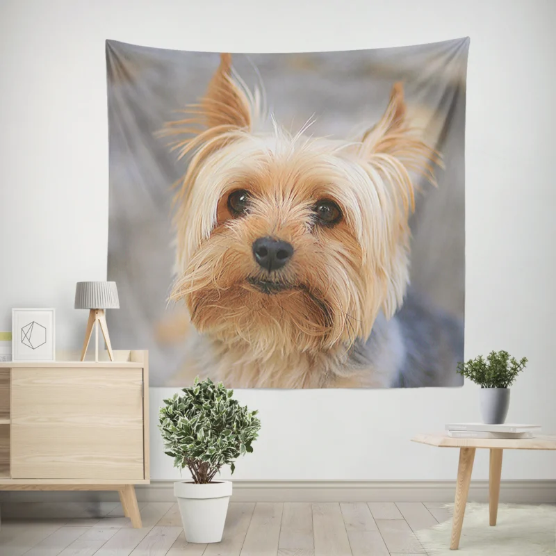 Close-Up  Terrier Quartet Yorkshire Terrier Wall Tapestry