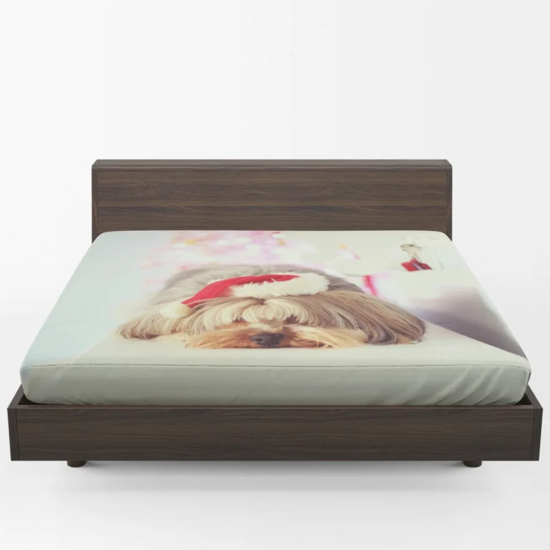 Close-Up in Elegance: Yorkshire Terrier Quartet Fitted Sheet 1