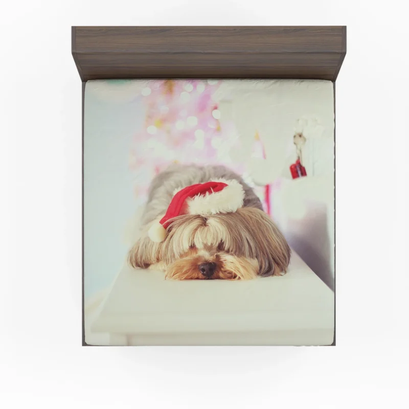 Close-Up in Elegance: Yorkshire Terrier Quartet Fitted Sheet