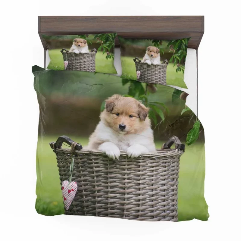 Collie Beauty: Rough Collie Quartet Bedding Set 1