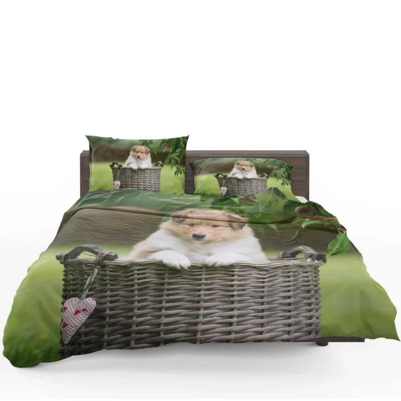 Collie Beauty: Rough Collie Quartet Bedding Set