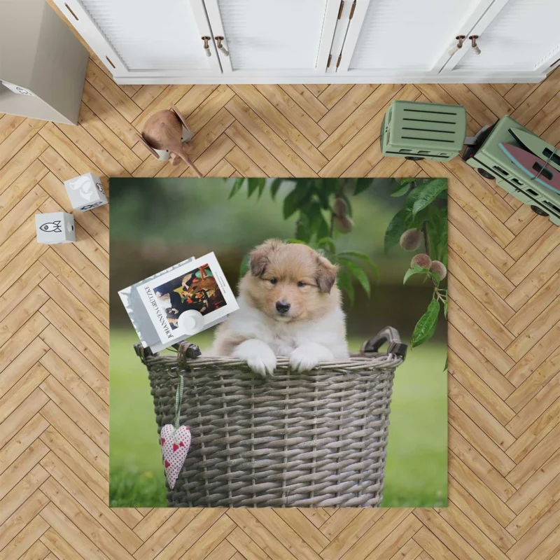 Collie Beauty: Rough Collie Quartet Floor Rug