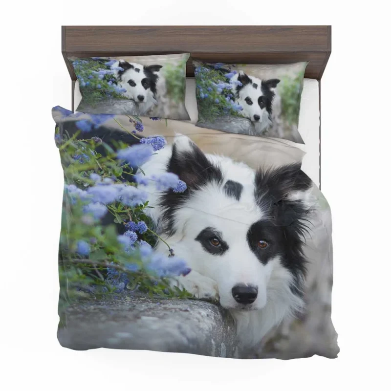 Collie Beauty with Depth Of Field and Blue Flower: Border Collie Bedding Set 1