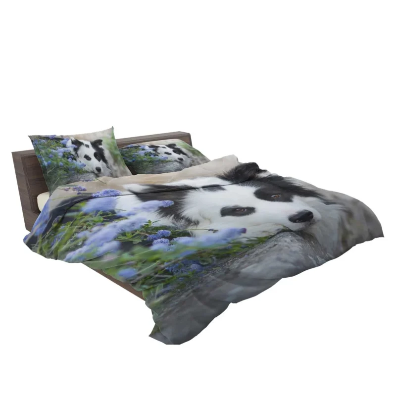 Collie Beauty with Depth Of Field and Blue Flower: Border Collie Bedding Set 2