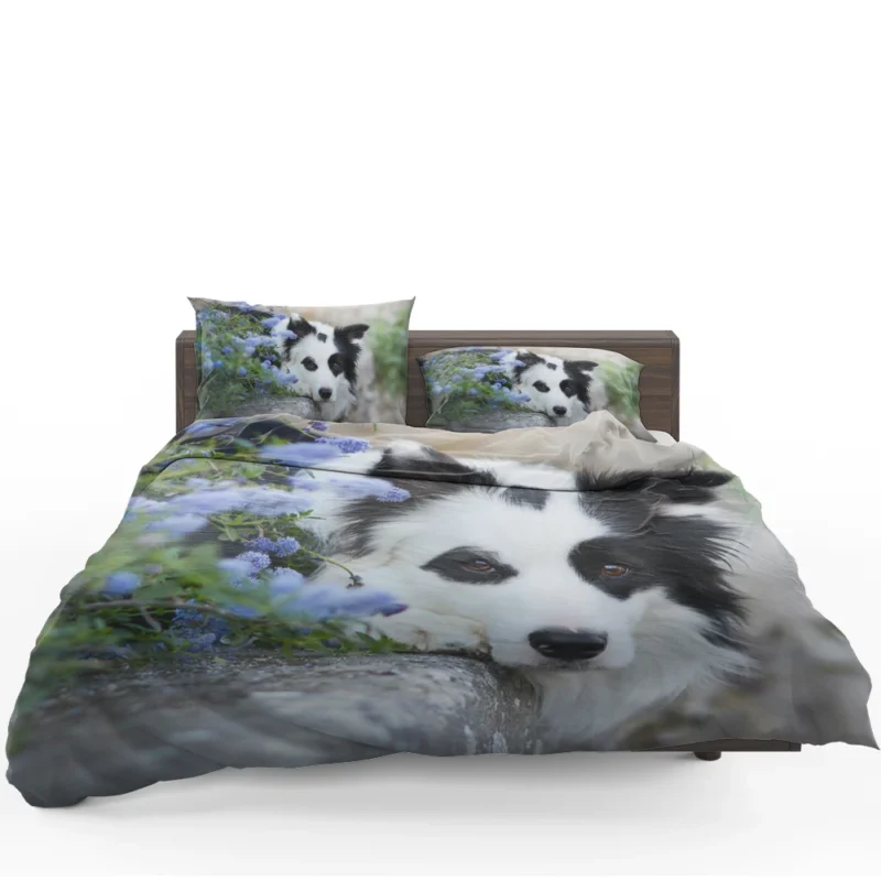 Collie Beauty with Depth Of Field and Blue Flower: Border Collie Bedding Set