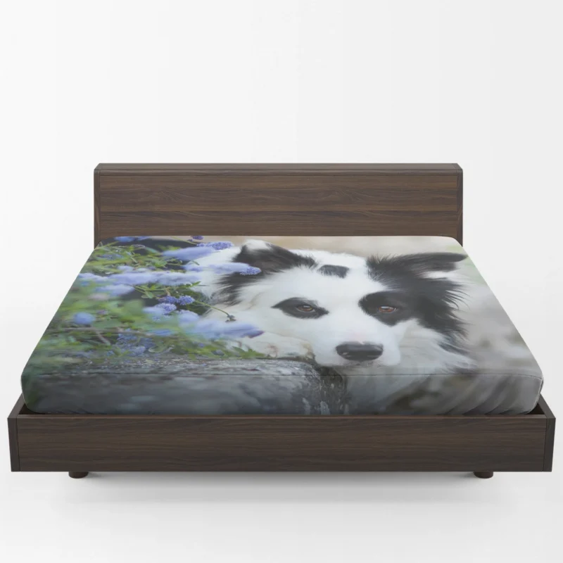 Collie Beauty with Depth Of Field and Blue Flower: Border Collie Fitted Sheet 1