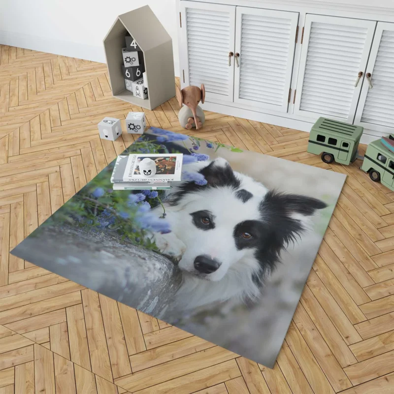 Collie Beauty with Depth Of Field and Blue Flower: Border Collie Floor Rug 1