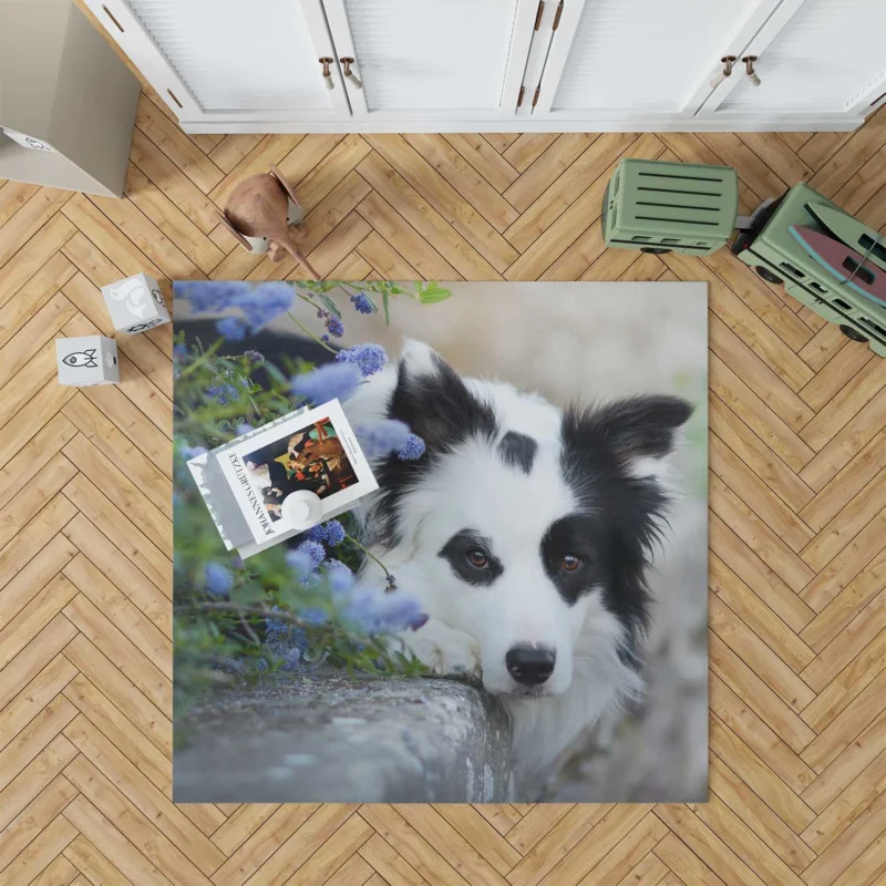 Collie Beauty with Depth Of Field and Blue Flower: Border Collie Floor Rug