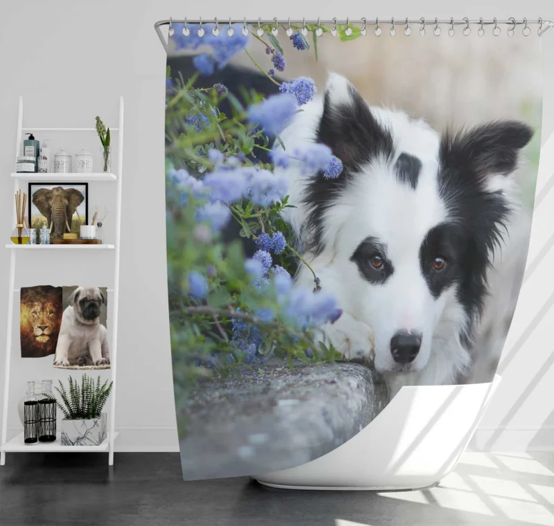 Collie Beauty with Depth Of Field and Blue Flower: Border Collie Shower Curtain