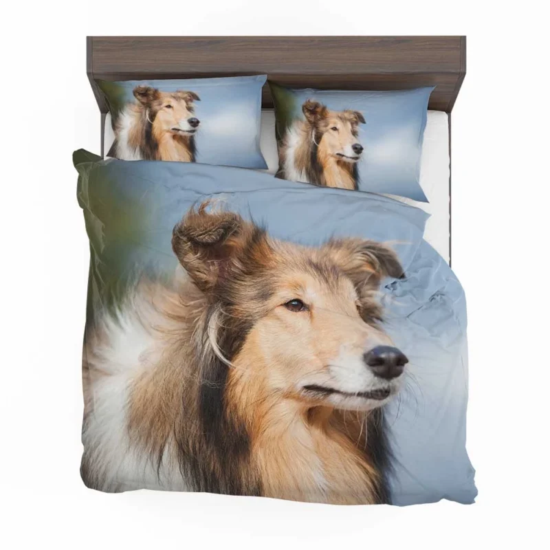 Collie Charm in Nature: Rough Collie Quartet Bedding Set 1