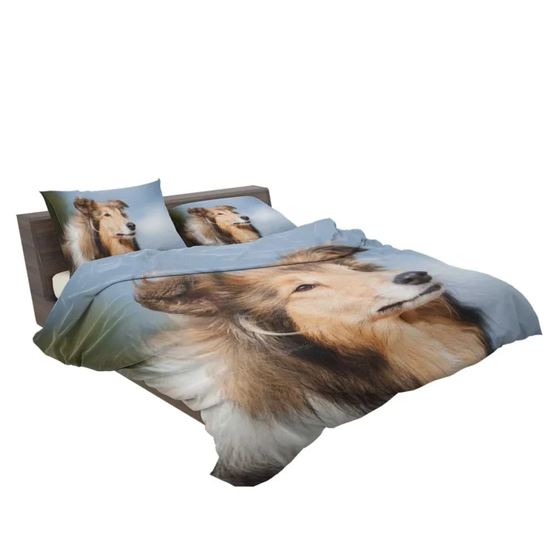 Collie Charm in Nature: Rough Collie Quartet Bedding Set 2