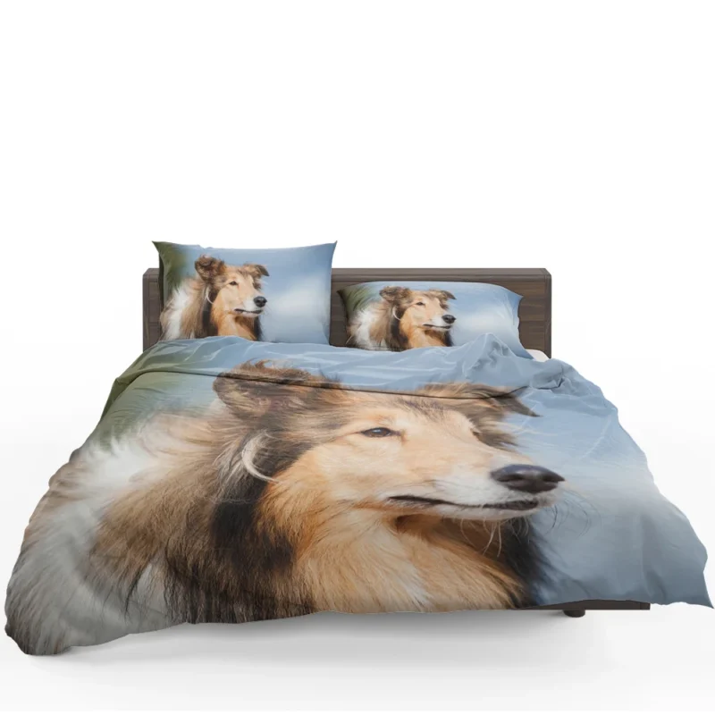 Collie Charm in Nature: Rough Collie Quartet Bedding Set