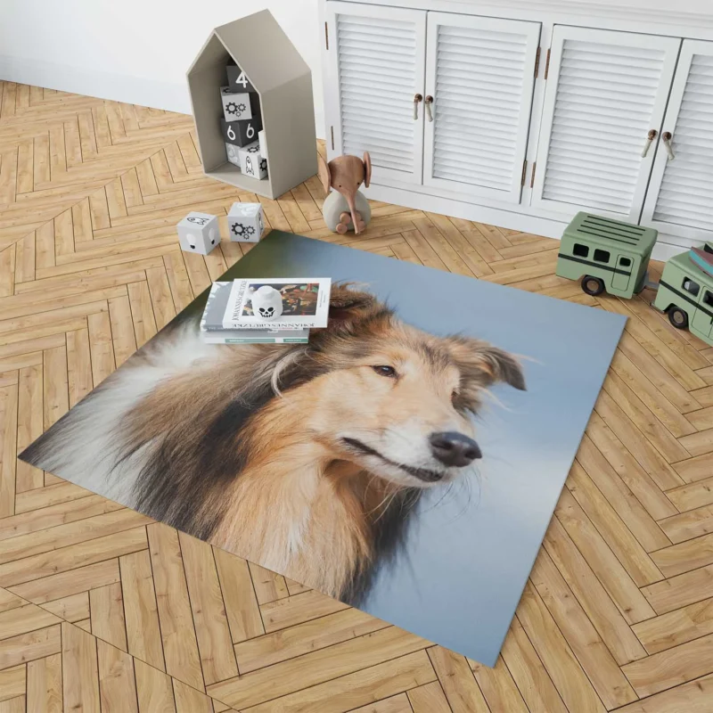 Collie Charm in Nature: Rough Collie Quartet Floor Rug 1