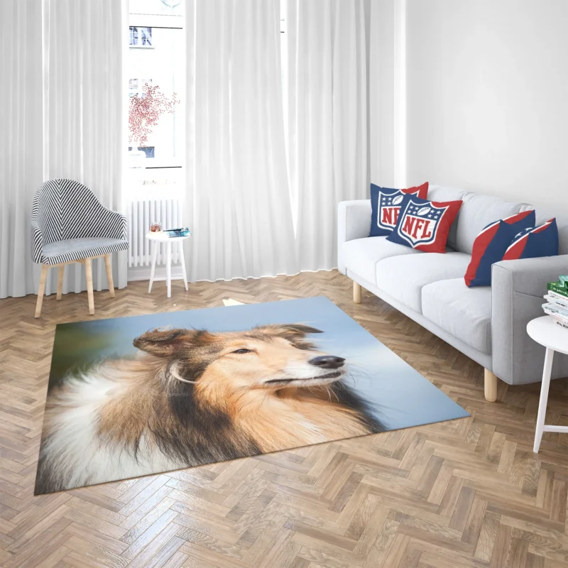 Collie Charm in Nature: Rough Collie Quartet Floor Rug 2