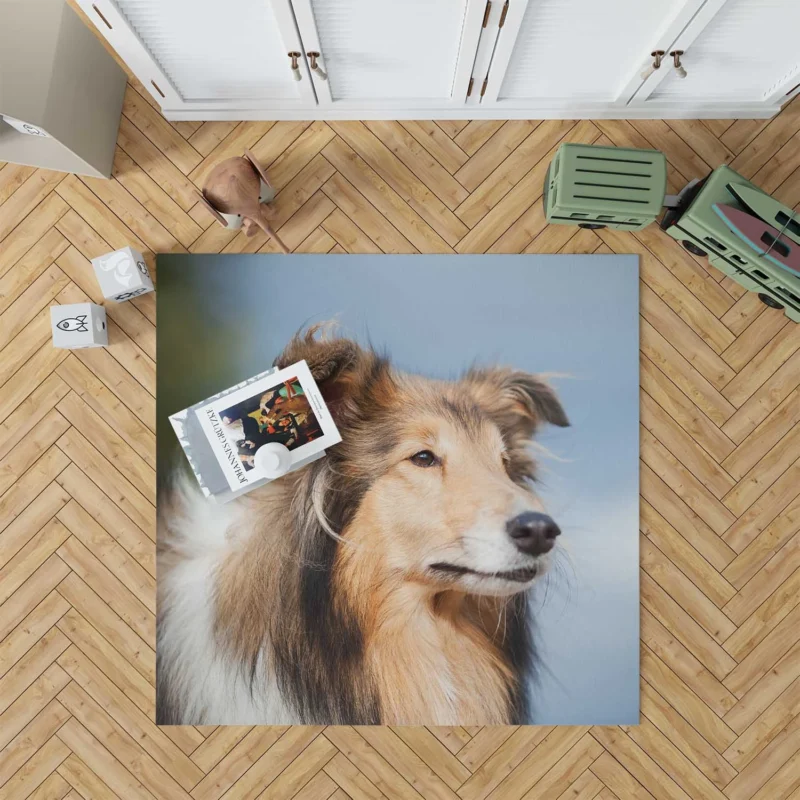 Collie Charm in Nature: Rough Collie Quartet Floor Rug