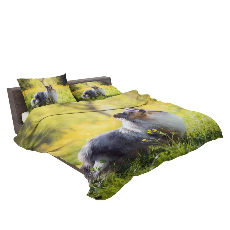 Collie Elegance: Quartet in a Sunny Meadow Bedding Set 2