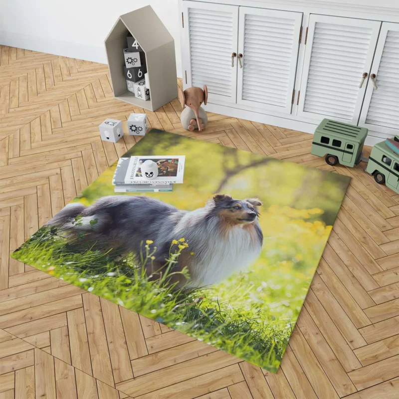 Collie Elegance: Quartet in a Sunny Meadow Floor Rug 1