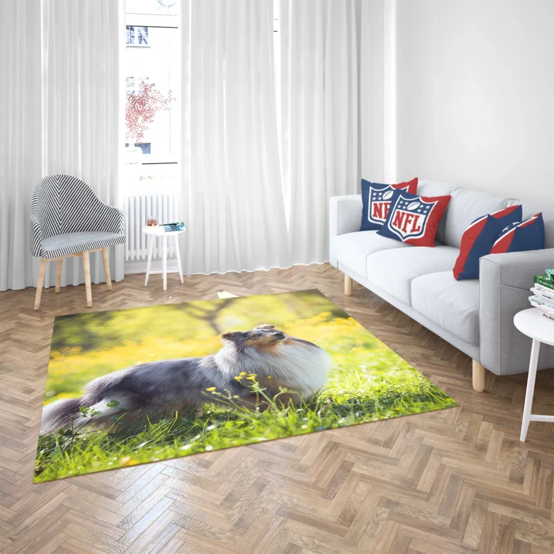 Collie Elegance: Quartet in a Sunny Meadow Floor Rug 2