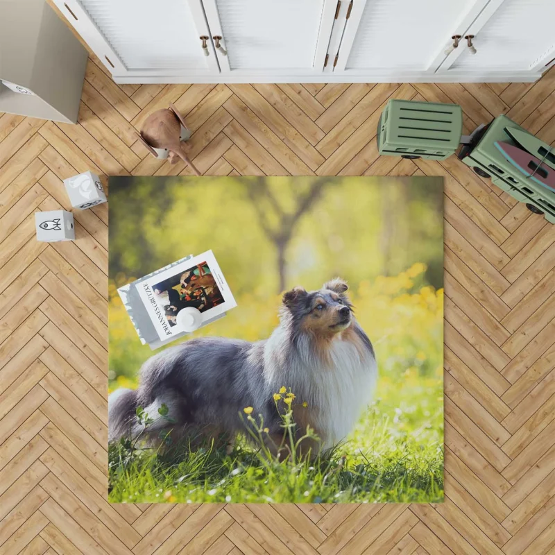 Collie Elegance: Quartet in a Sunny Meadow Floor Rug