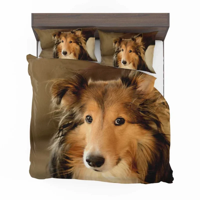 Collie Elegance Unleashed: Rough Collie Quartet Bedding Set 1