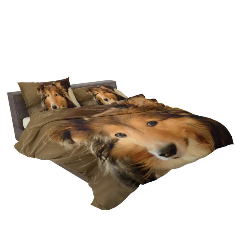 Collie Elegance Unleashed: Rough Collie Quartet Bedding Set 2