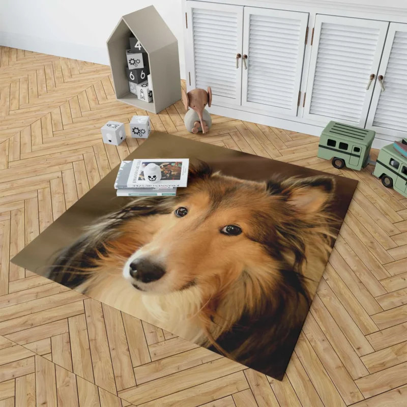 Collie Elegance Unleashed: Rough Collie Quartet Floor Rug 1